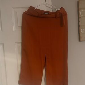 Express Women's skirt